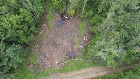 Forest-workers-in-Verdun-forest,-Lorraine-,-France.-Drone-view